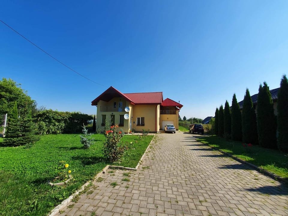 Casa Nicu House in Romania