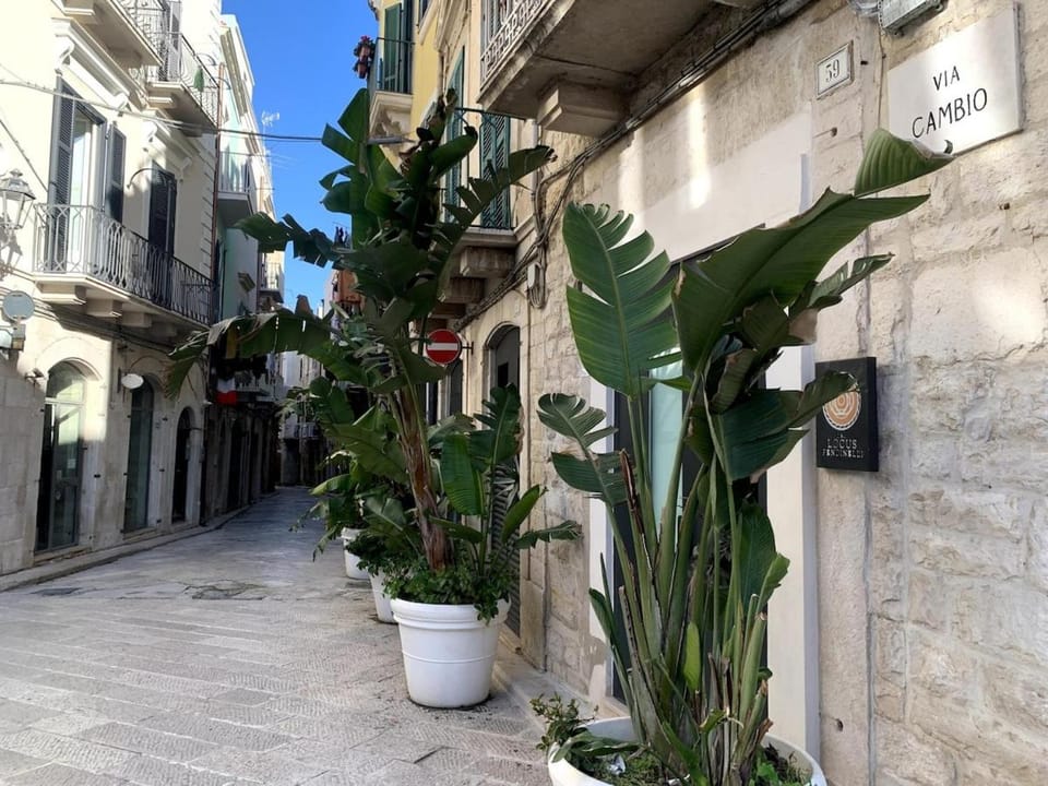 Property building, Neighbourhood, Street view