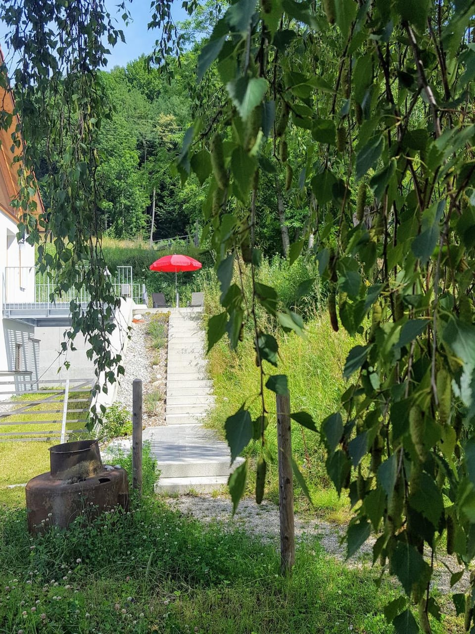 Garden view