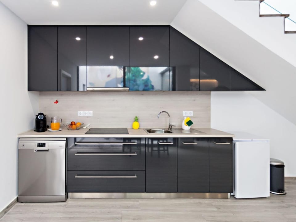 Kitchen or kitchenette, Communal kitchen, dishwasher, minibar, pet friendly, stove