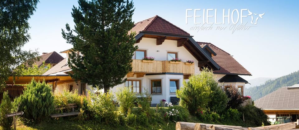 Feielhof Bed and Breakfast in Styria