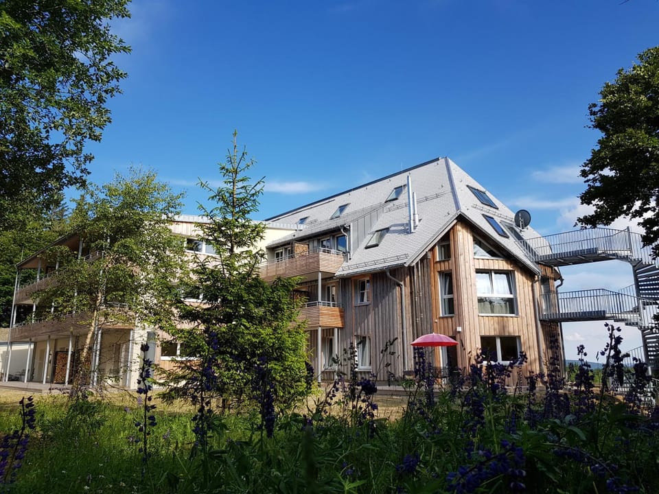 Property building, Garden view