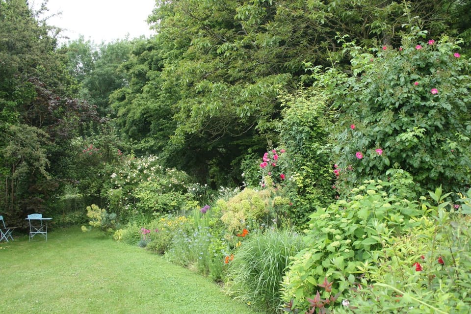 Natural landscape, Garden view