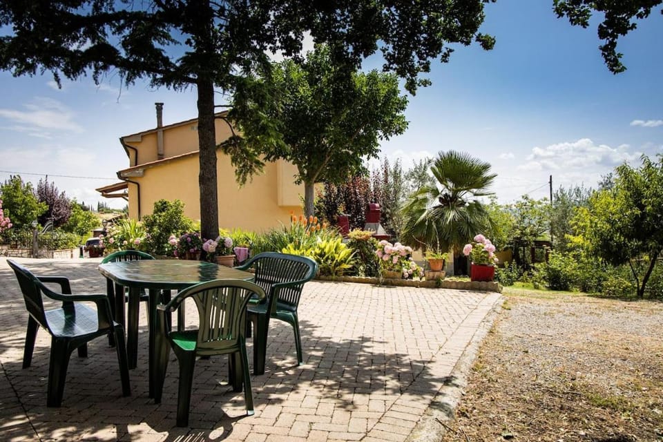 Patio, Garden