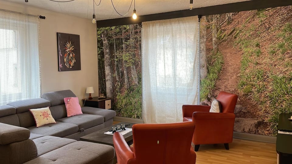 appartement Vintage a l ancienne forge Apartment in Vosges