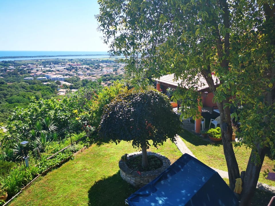 Staff, Staff, People, People, Children play ground, Garden, Garden, Garden view, Sea view, Entertainment, Family, Family