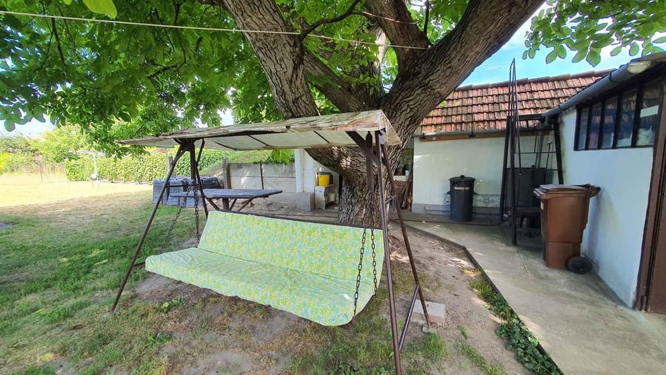 Summer, Garden