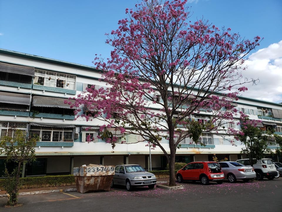 Property building, Parking