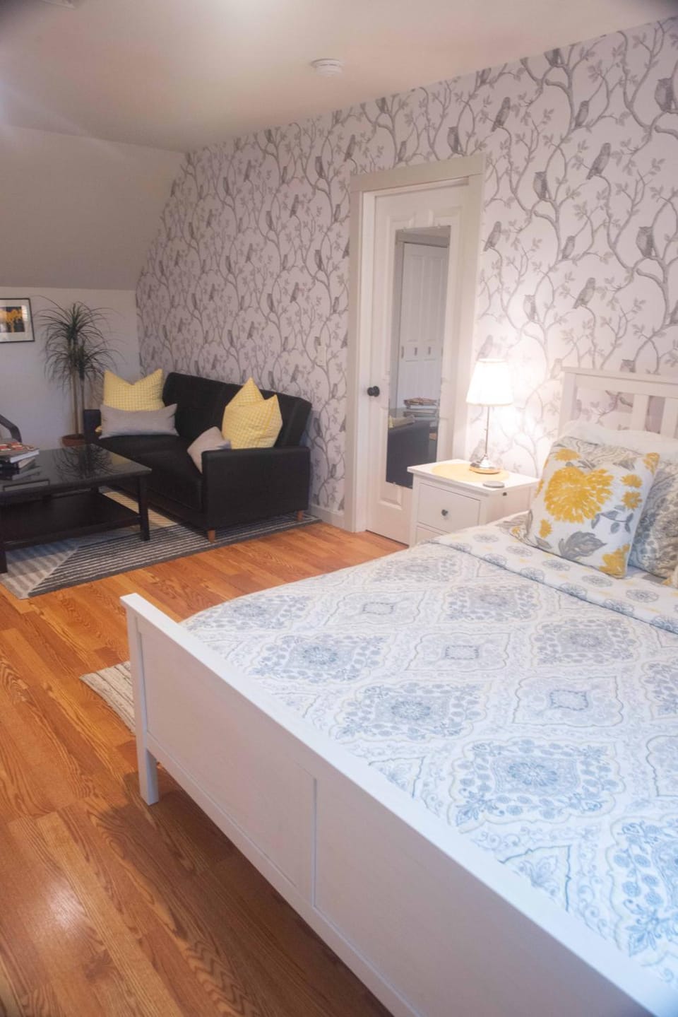 Photo of the whole room