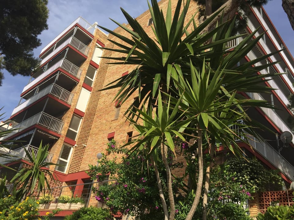 Property building, Bird's eye view