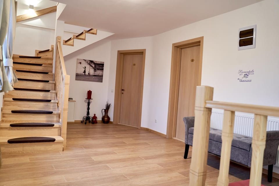 Lavand House Apartment in Romania