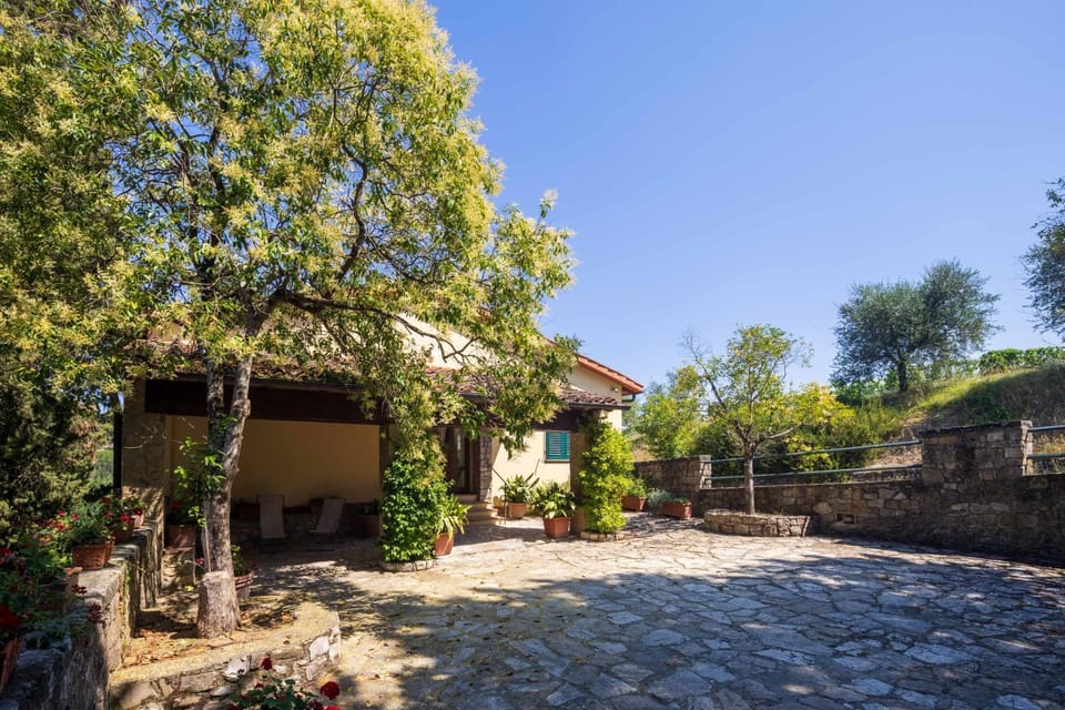 Property building, Patio