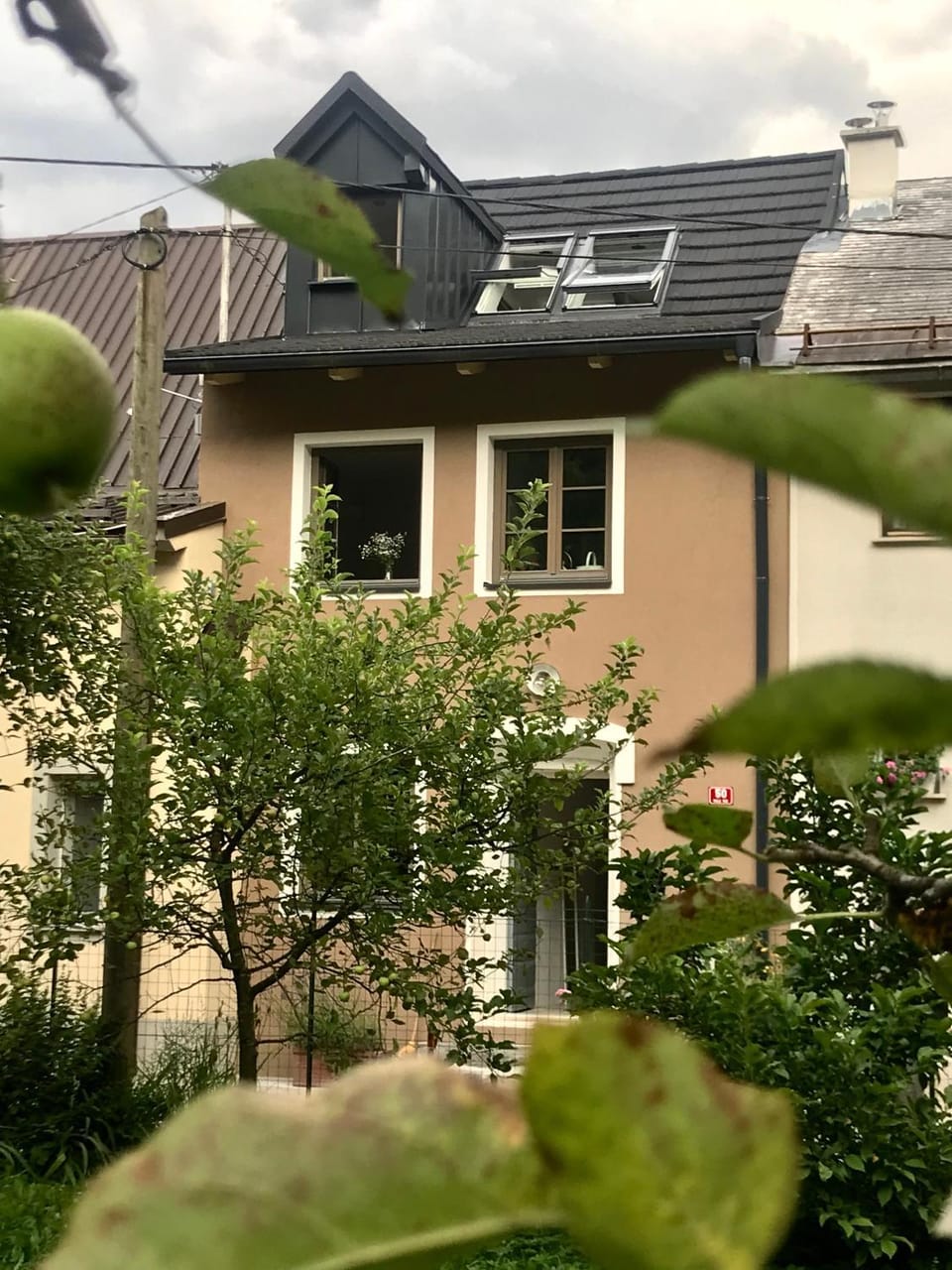 Property building, Garden
