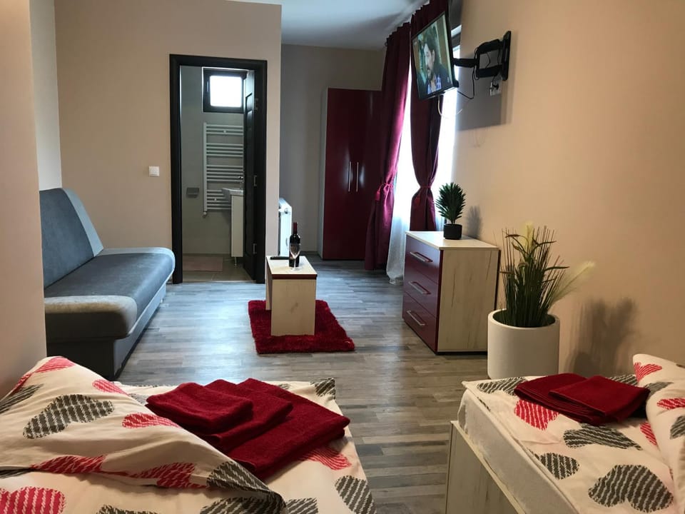 Wellion Bed and Breakfast in Romania