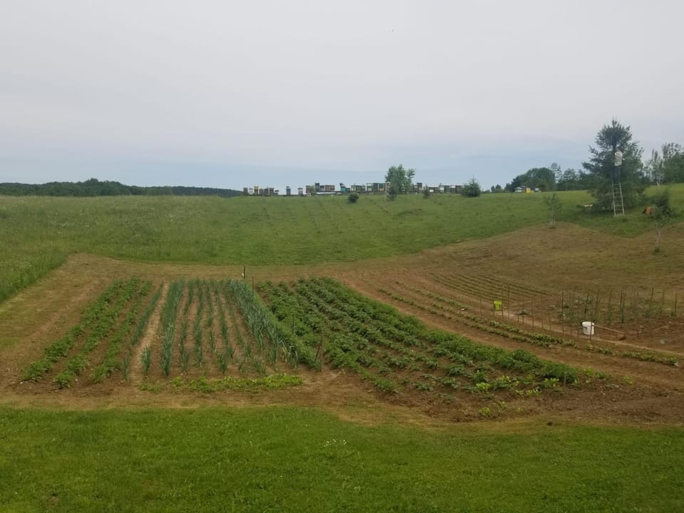 Natural landscape, Garden