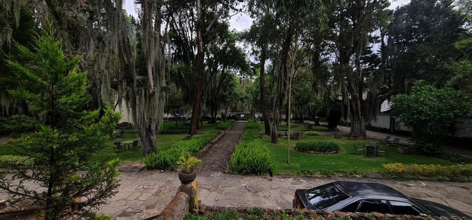 Patio, Natural landscape