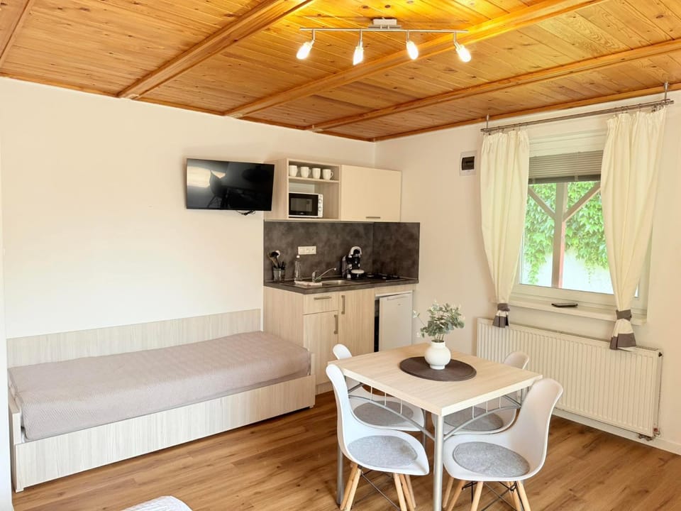 Kitchen or kitchenette, Photo of the whole room