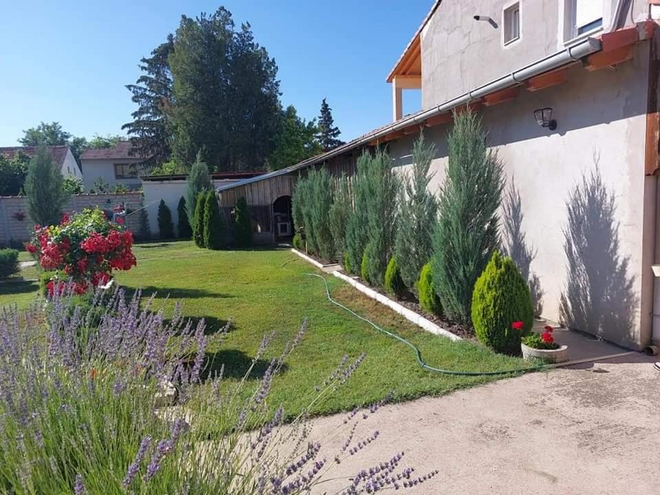 Apartman Vila Milica Apartment in Timiș County