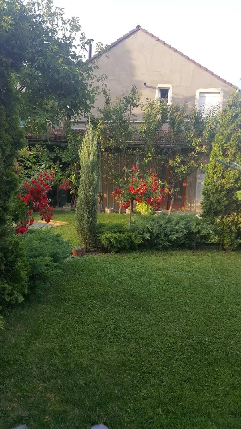 Apartman Vila Milica Apartment in Timiș County