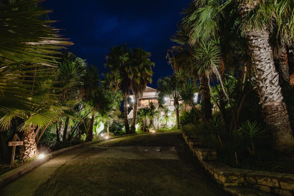Night, Natural landscape, Garden, Garden view, Parking
