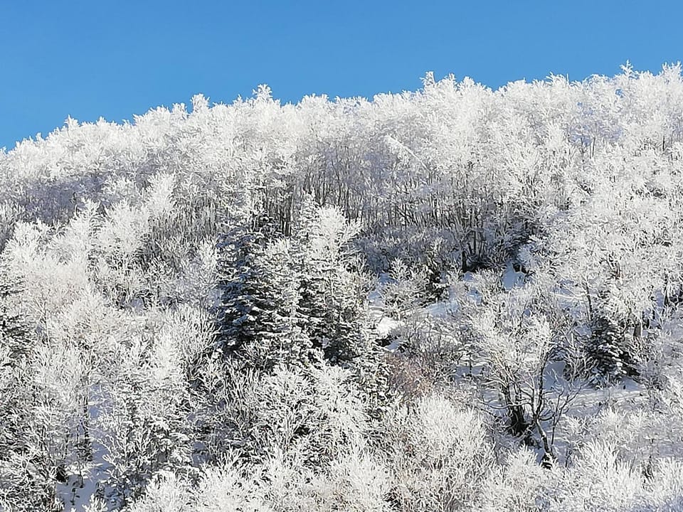 Natural landscape