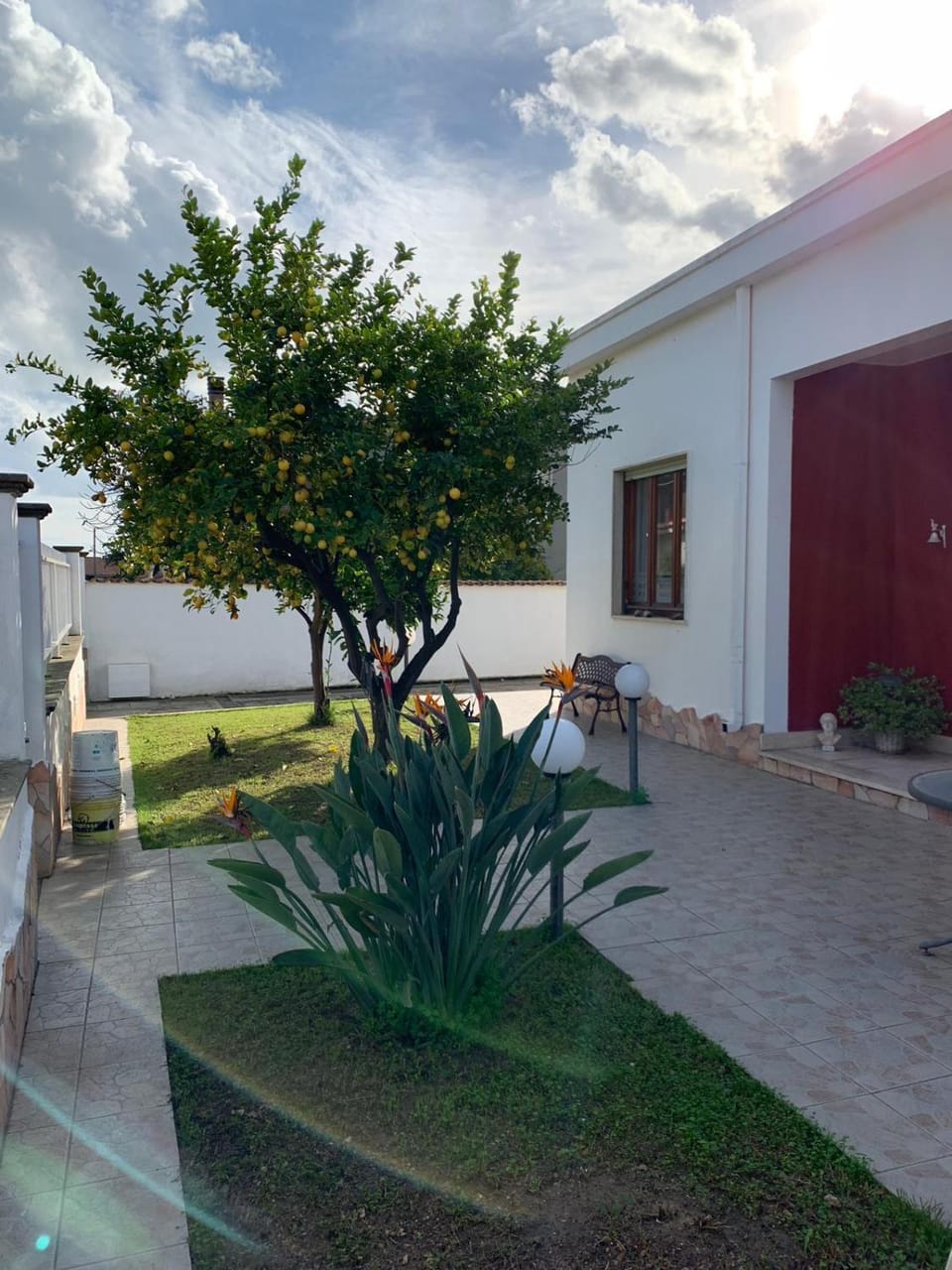 Garden view