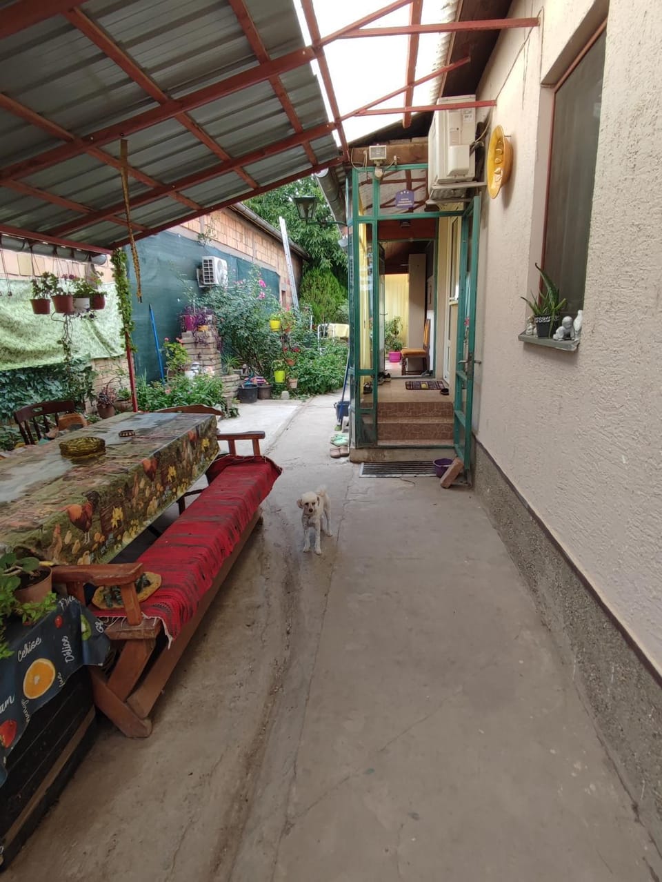 Liza Panzio Bed and Breakfast in Vojvodina