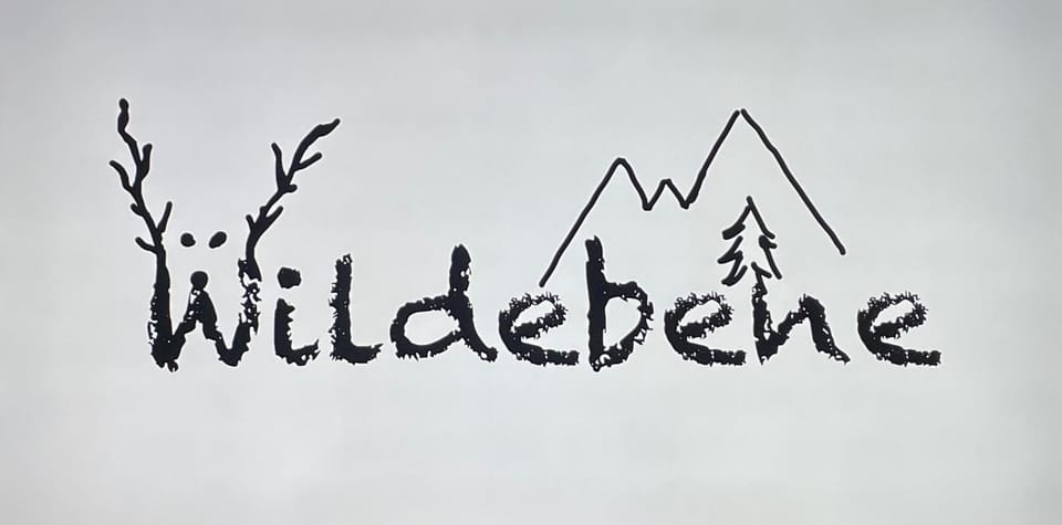 Haus Wildebene Apartment in Saint Anton am Arlberg