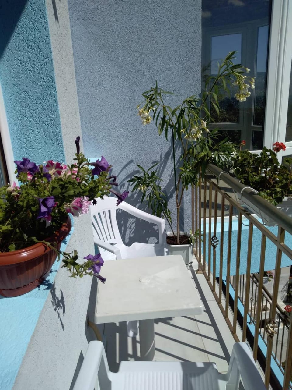 Balcony/Terrace, Pool view
