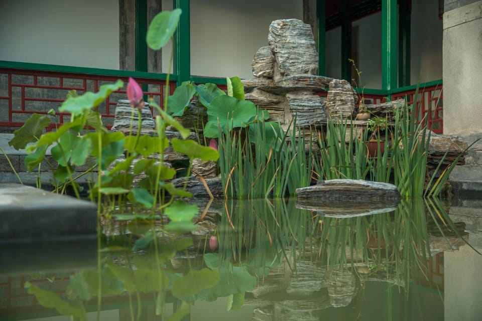 Garden, Garden view