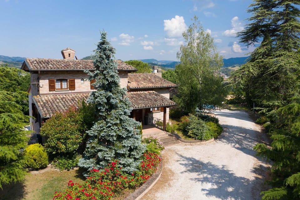 Property building, Garden, Garden view
