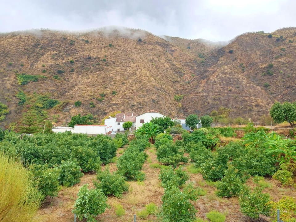 El Aljibe Suite Rural Apartment in Costa Tropical