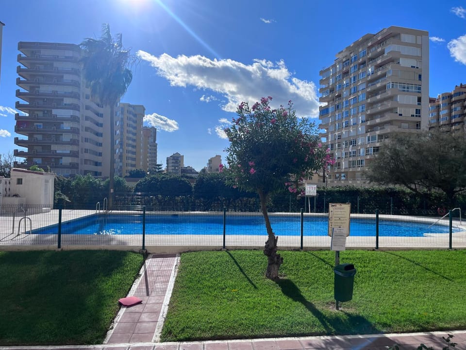 Day, Garden, Garden view, Pool view, Swimming pool