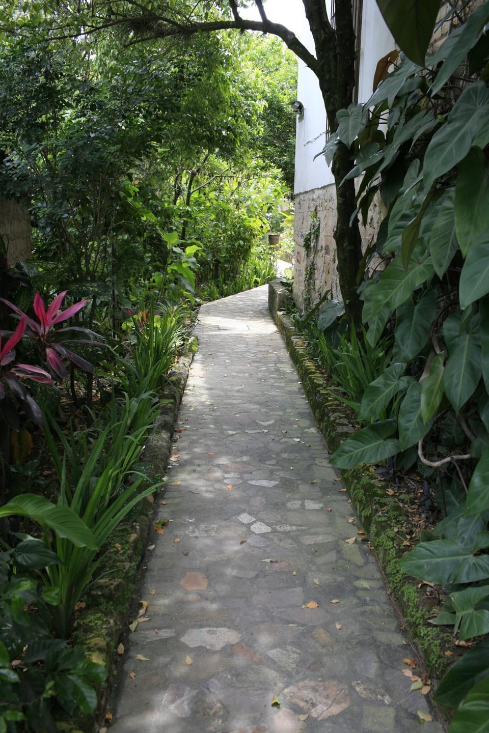 Garden, Garden