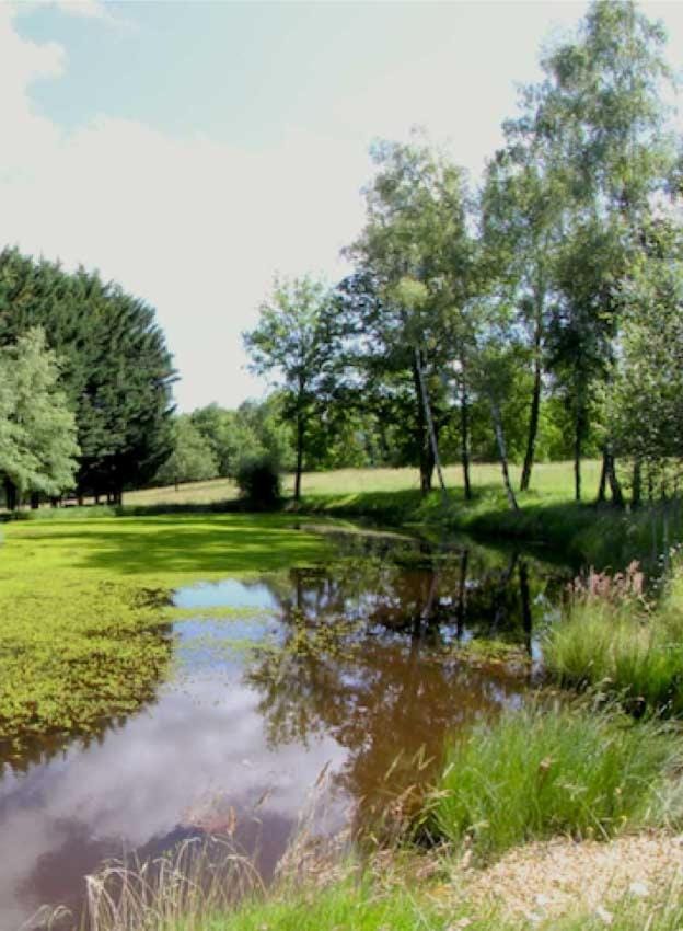 Domaine des grandes landes House in Nouvelle-Aquitaine