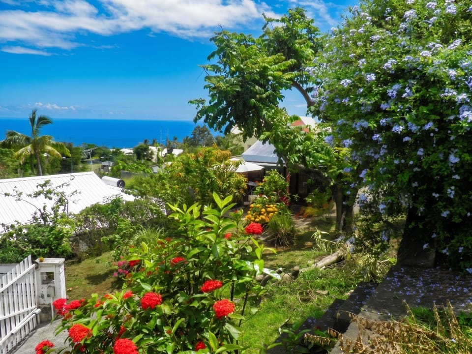 Sea view