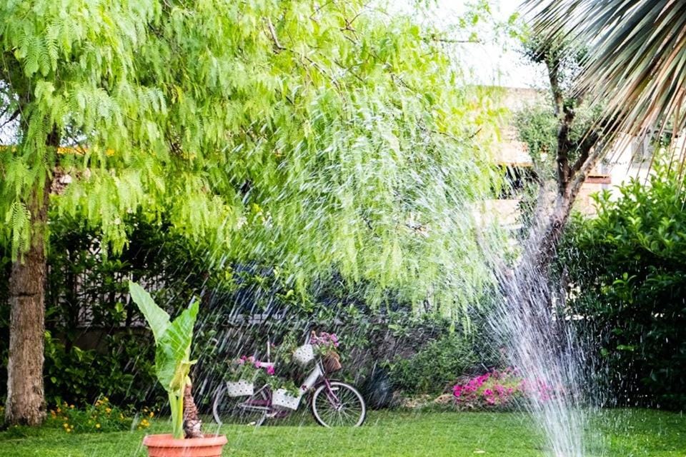 Garden, Garden