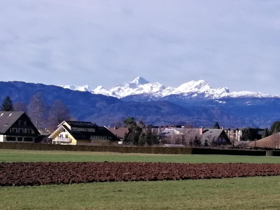 edelweiss Apartment in 4240 Radovljica, Slovenia