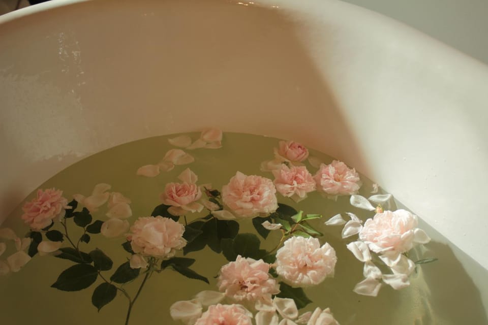 Rose Residence Bed and Breakfast in Lower Silesian Voivodeship