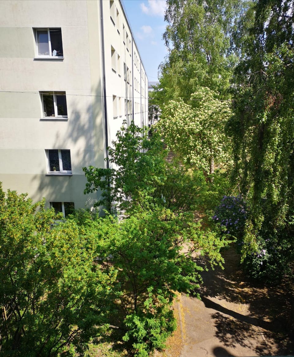 Neighbourhood