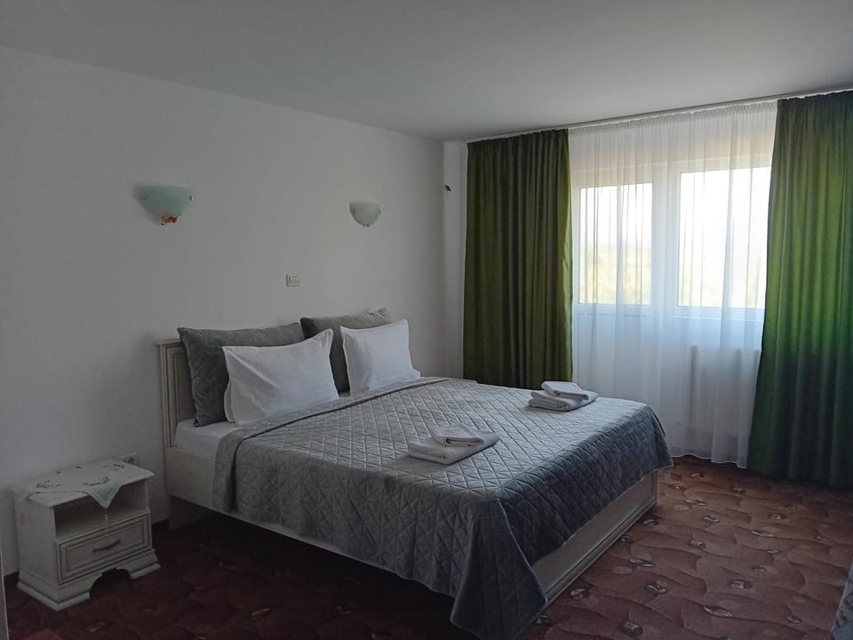 Pensiunea Paradis Vrâncean Bed and Breakfast in Moldova