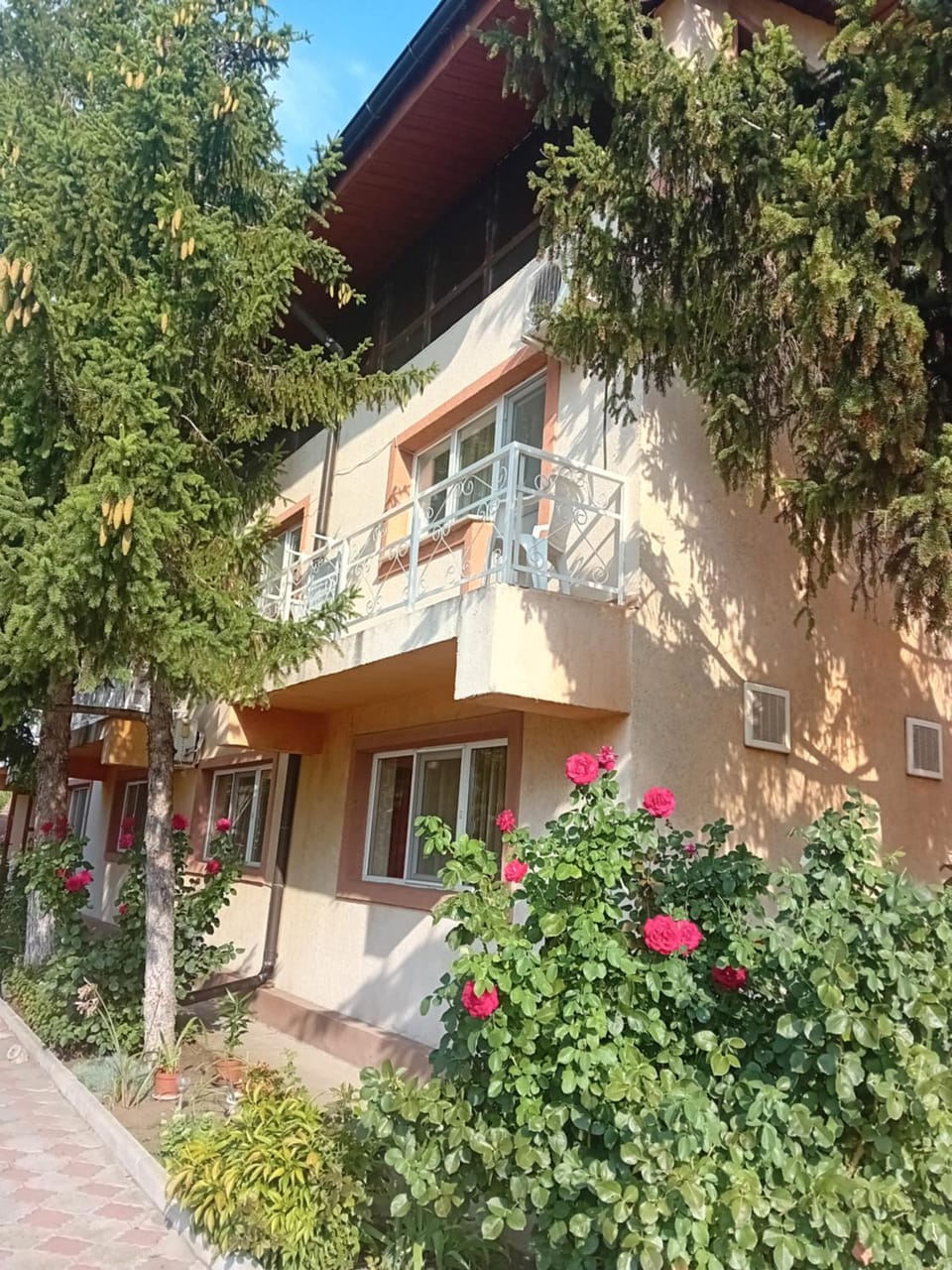 Pensiunea Paradis Vrâncean Bed and Breakfast in Moldova