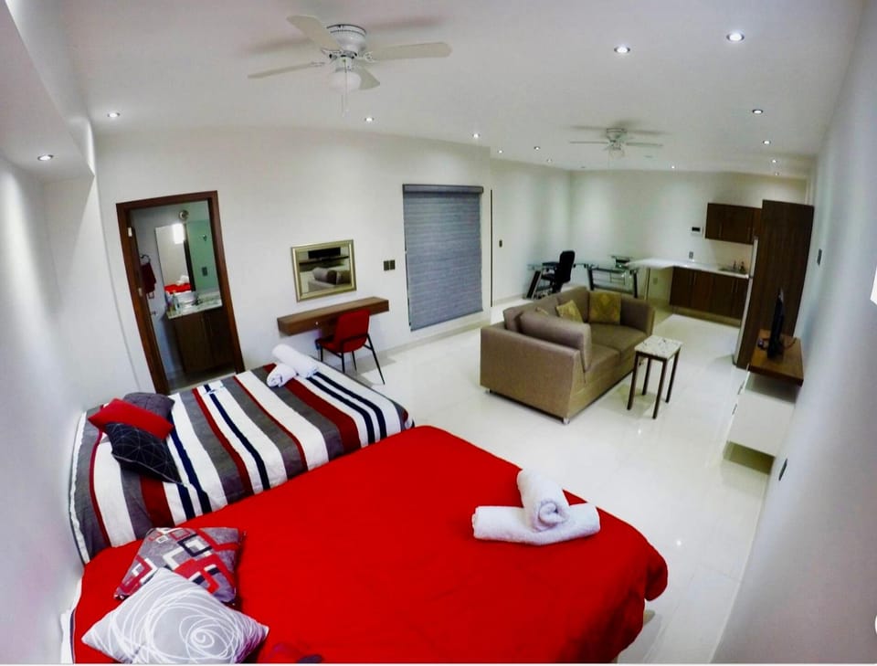 Photo of the whole room