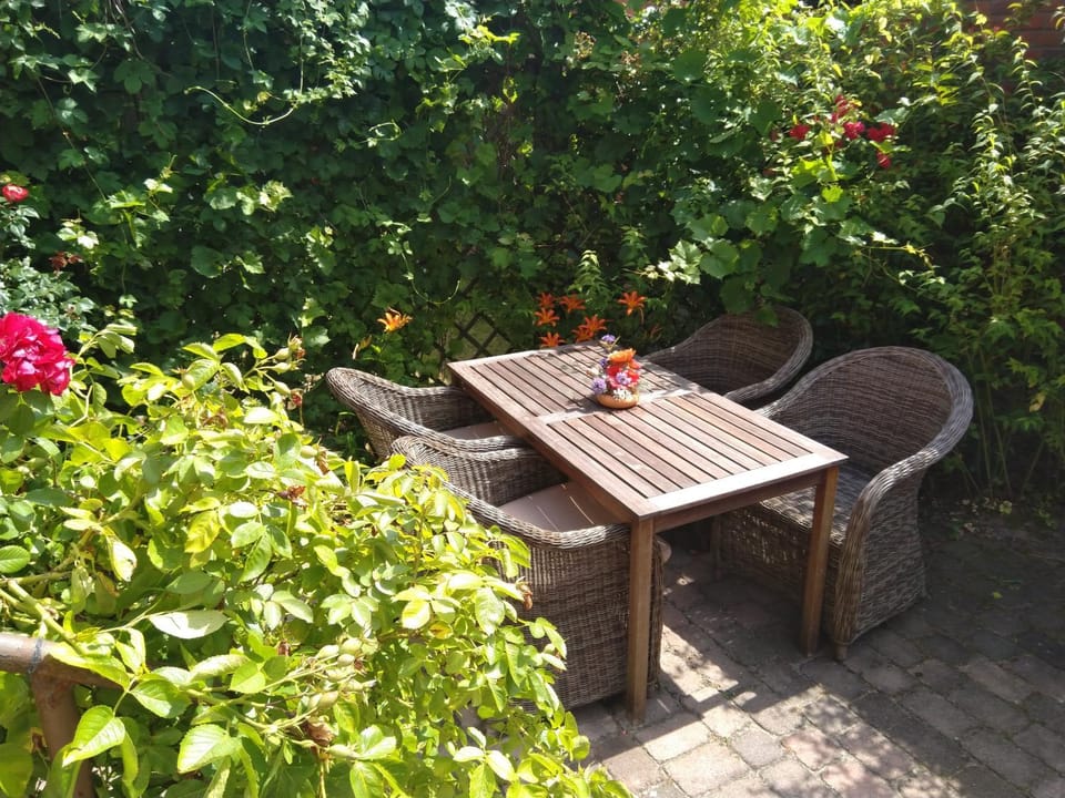 Patio, Dining area