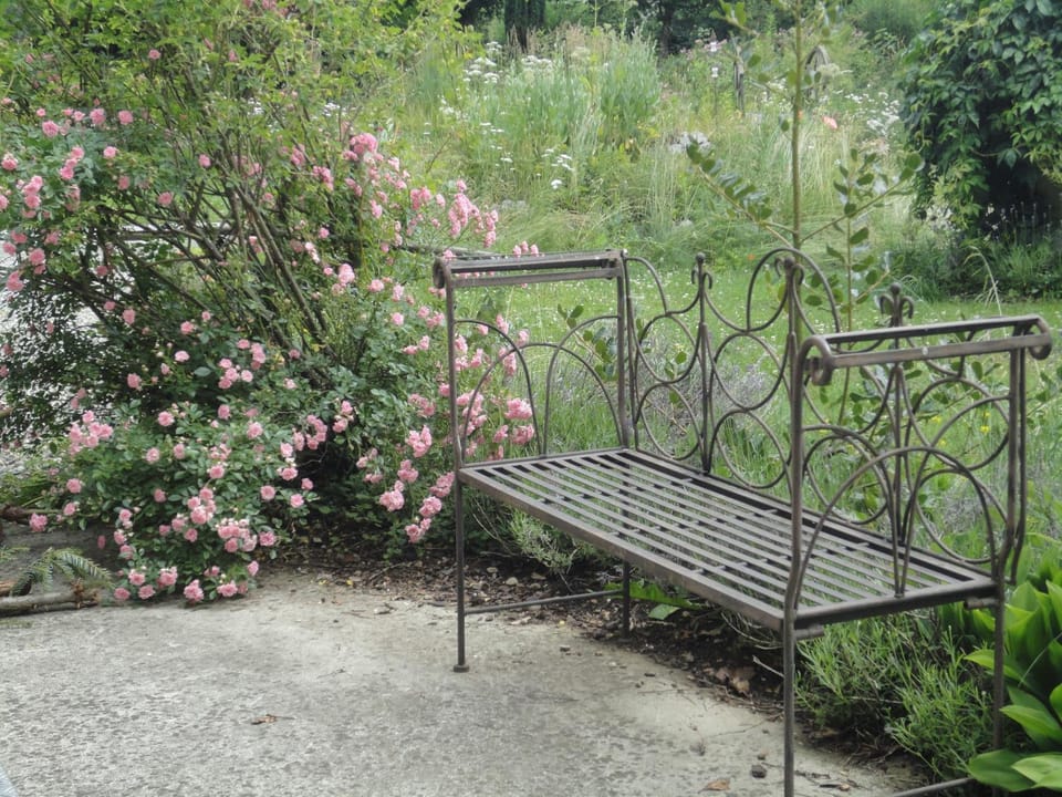 Spring, Garden