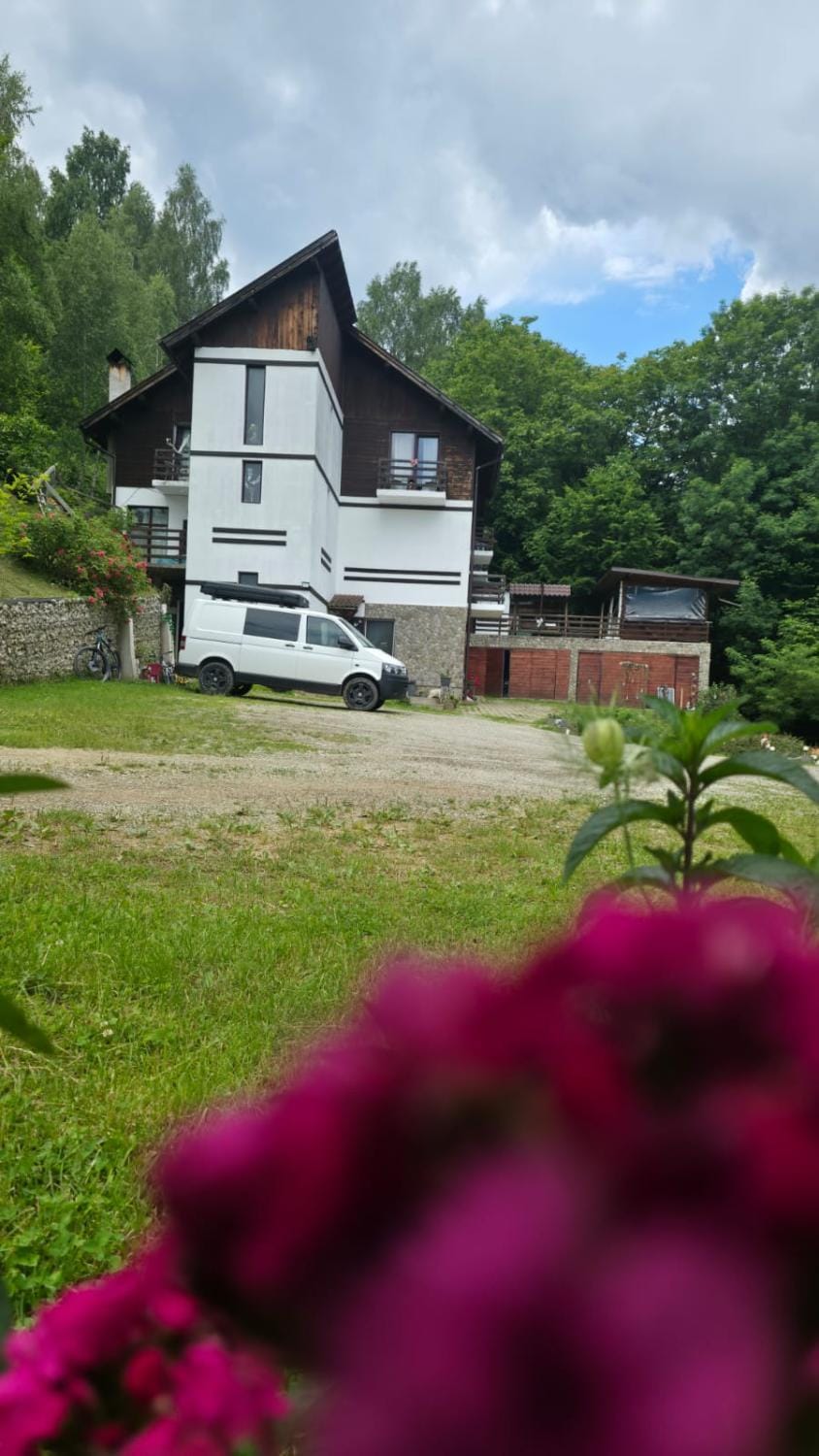 Pensiunea Glasul Pădurii Bed and Breakfast in Brașov County