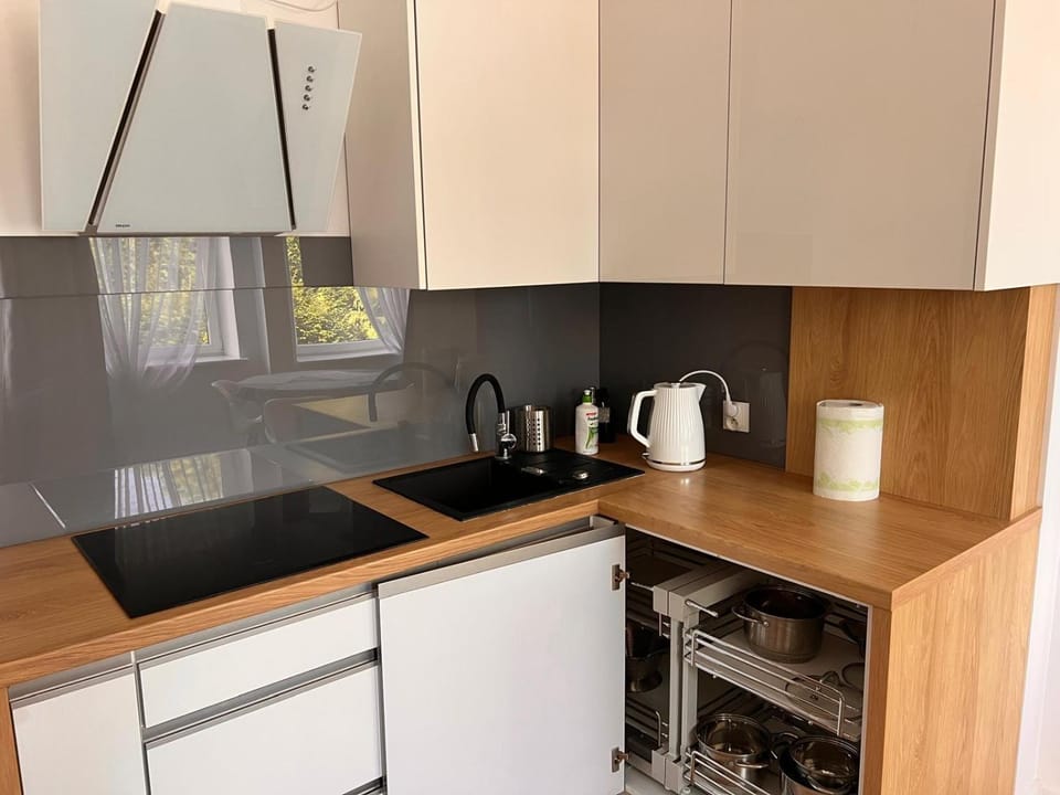 Kitchen or kitchenette, kitchen