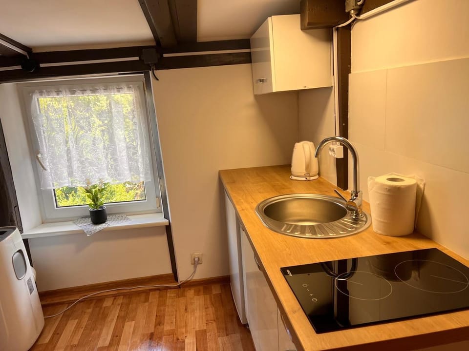 Kitchen or kitchenette, kitchen