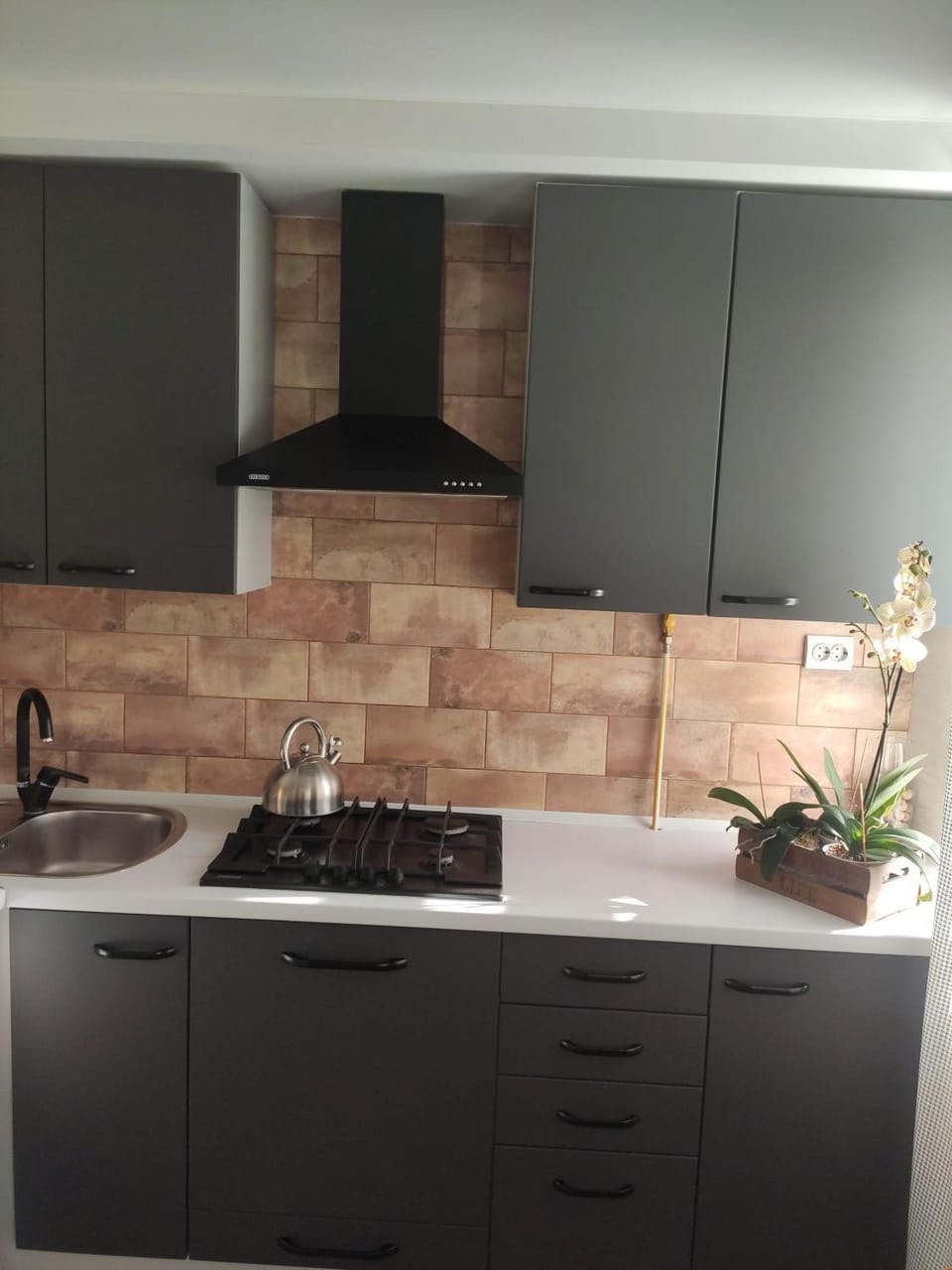 Kitchen or kitchenette, pet friendly, stove