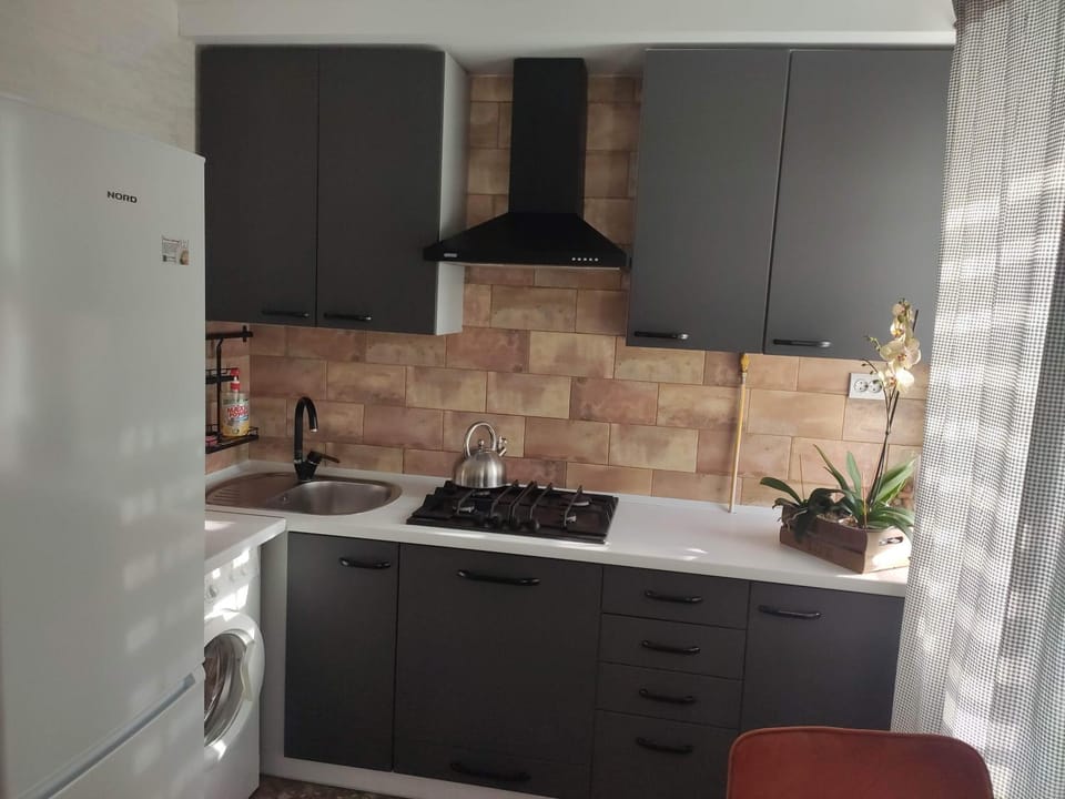 Kitchen or kitchenette, minibar, stove